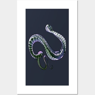 Xenodermus Javanicus dragon snake Posters and Art